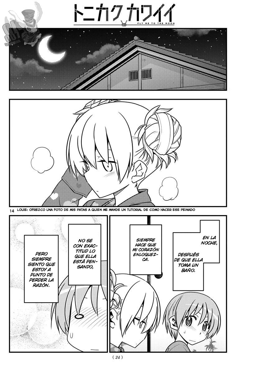 Tonikaku Kawaii Capítulo 132 - Página 15 en español